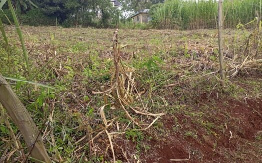 Prime 1/8 Acre Plots for Sale – Aberdare past Wangige