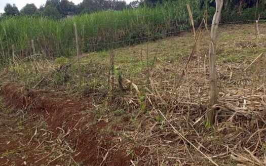 Prime 1/8 Acre Plots for Sale – Aberdare past Wangige