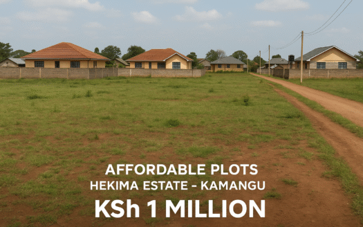 Affordable Plots in Hekima Estate – Kamangu